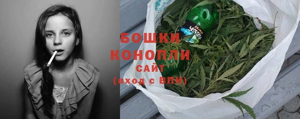 PSILOCYBIN Верхний Тагил