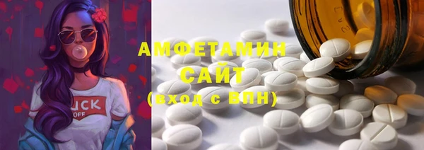 амф Снежногорск