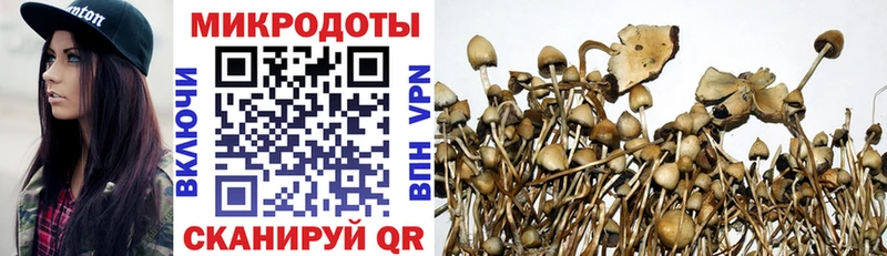 Псилоцибиновые грибы мухоморы  Купить  Правдинск 